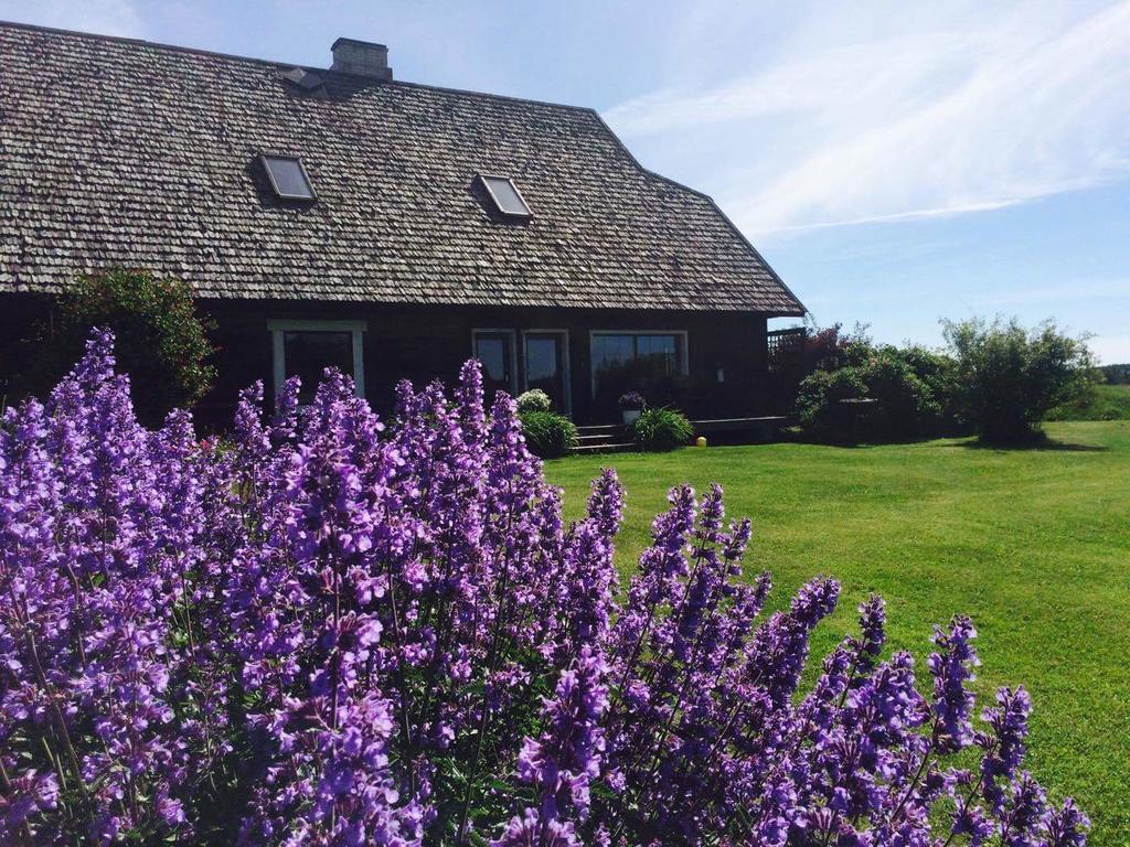 Tiiupesa Guest House Hellamaa  Экстерьер фото